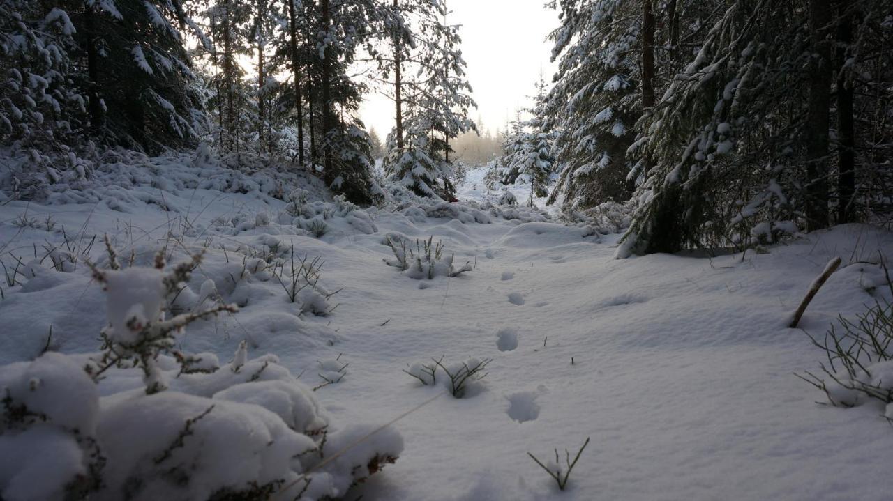 Bjoernvalsfallet Deje Bagian luar foto