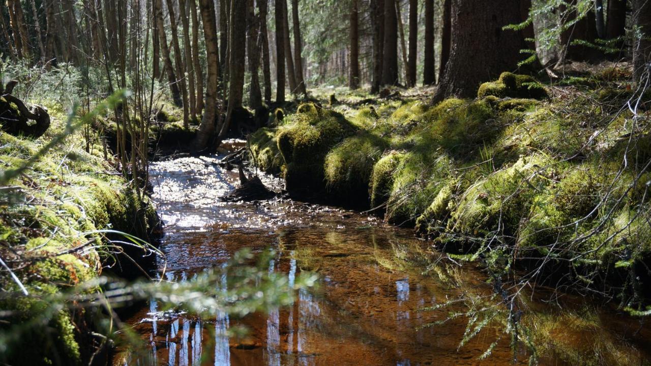 Bjoernvalsfallet Deje Bagian luar foto